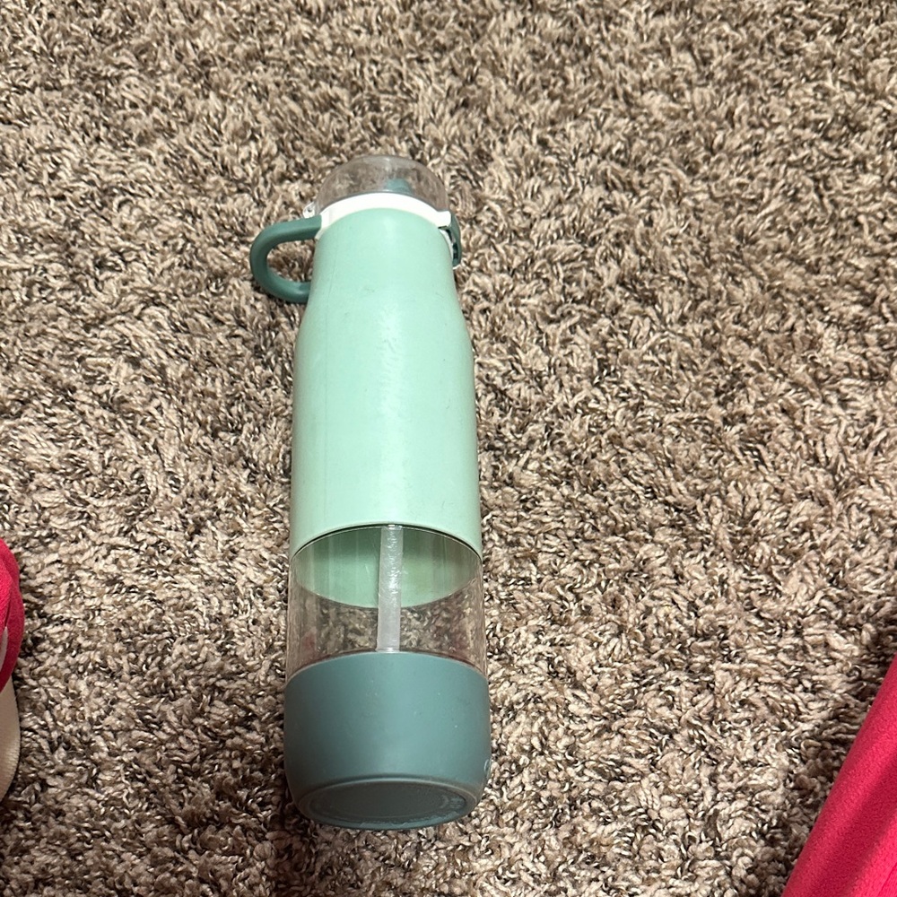 Mint and Gray Water Bottle with Handle